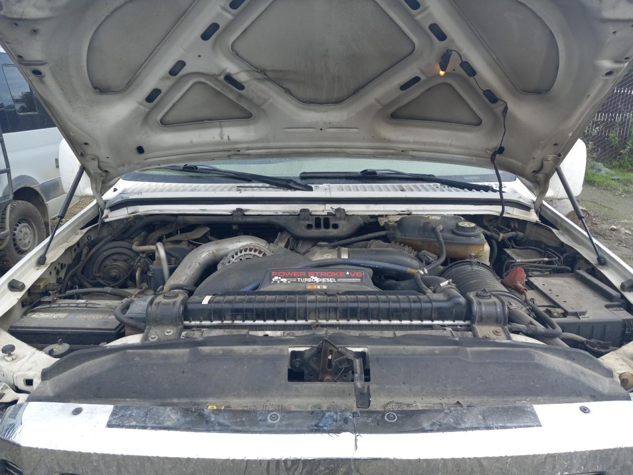 2006 Ford F350 Super Duty VIN: 1FTWW33P16EB19769 Lot: 62064804