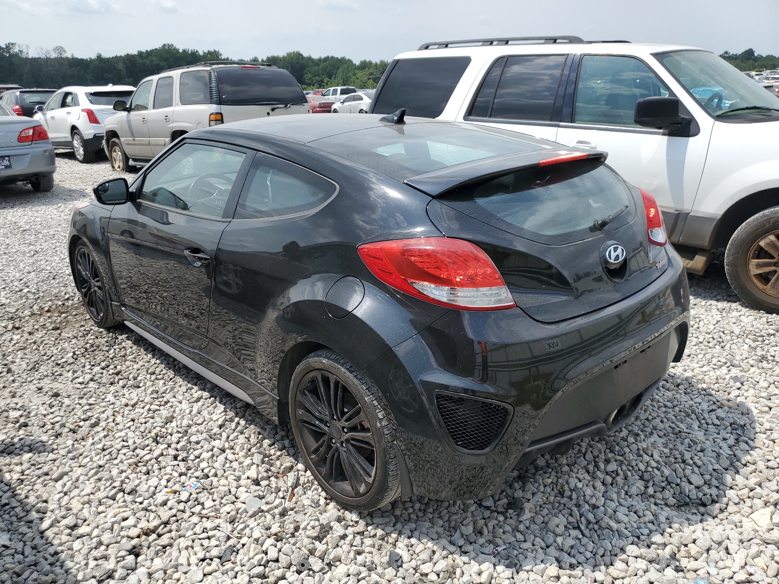 2016 Hyundai Veloster Turbo vin: KMHTC6AE8GU249906