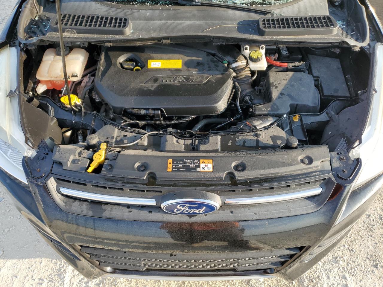 2015 Ford Escape Se VIN: 1FMCU0GX0FUC56401 Lot: 66345294