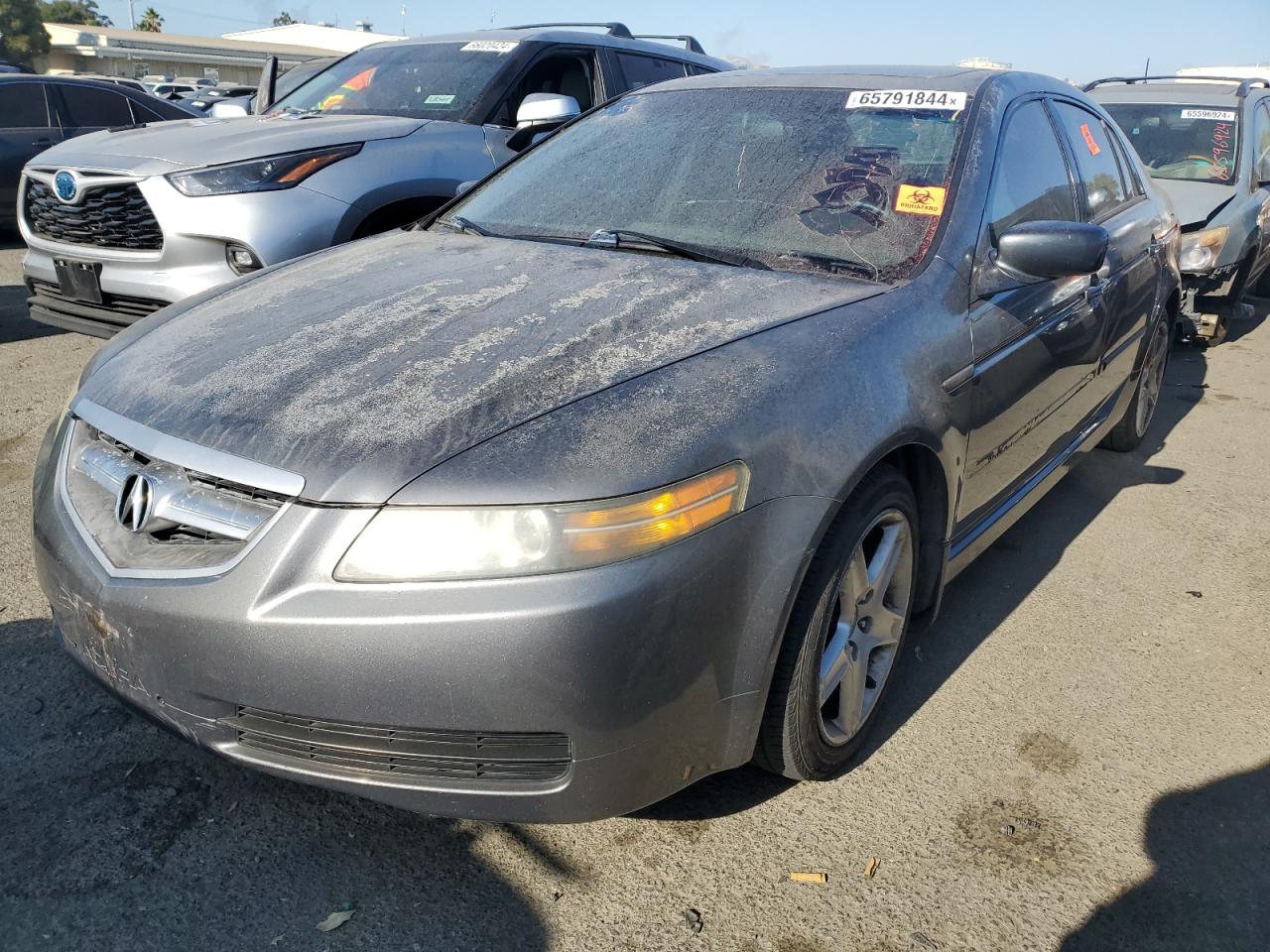 2004 Acura Tl VIN: 19UUA662X4A033261 Lot: 65791844