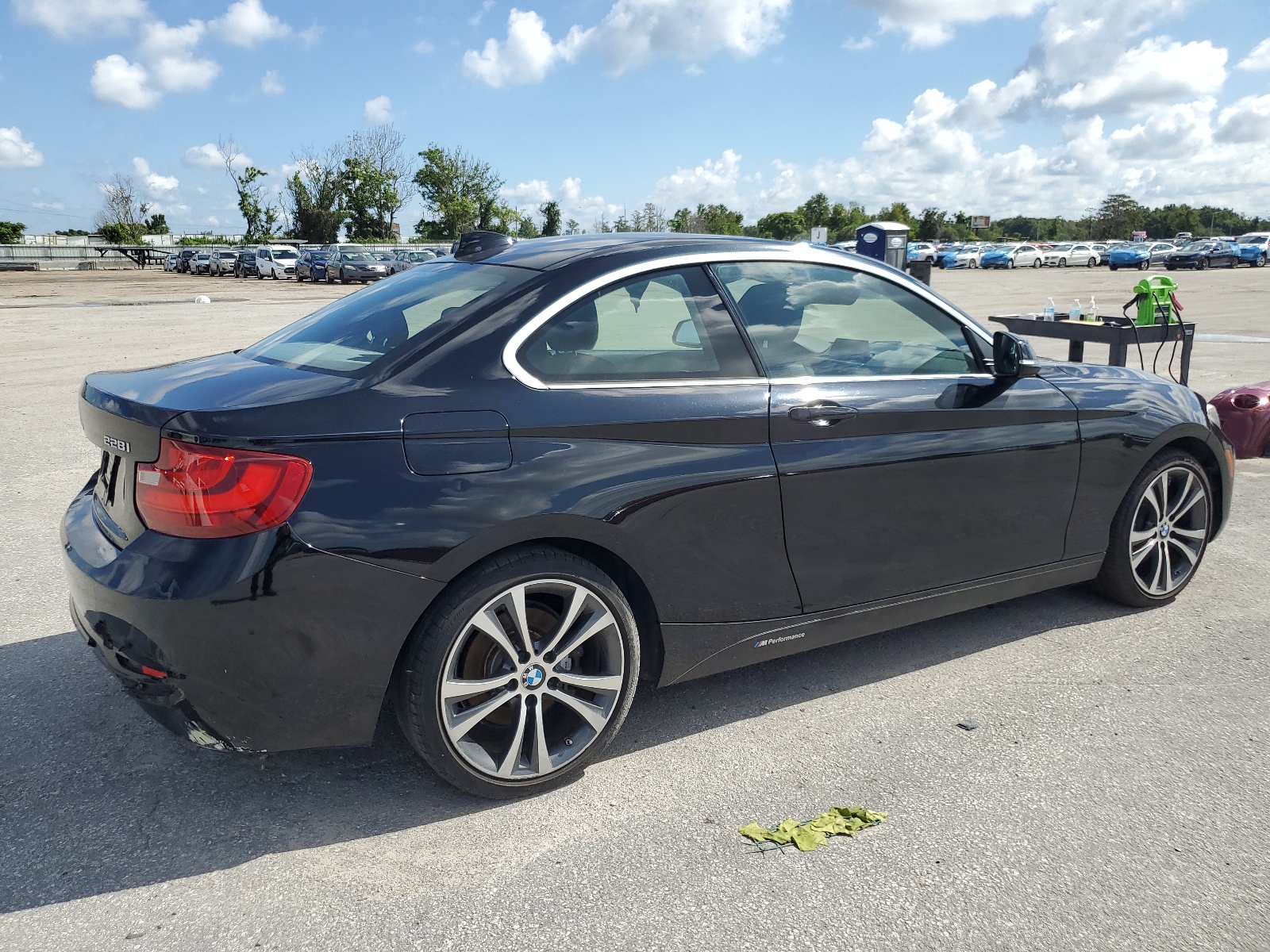 2016 BMW 228 I Sulev vin: WBA1F9C58GV545081