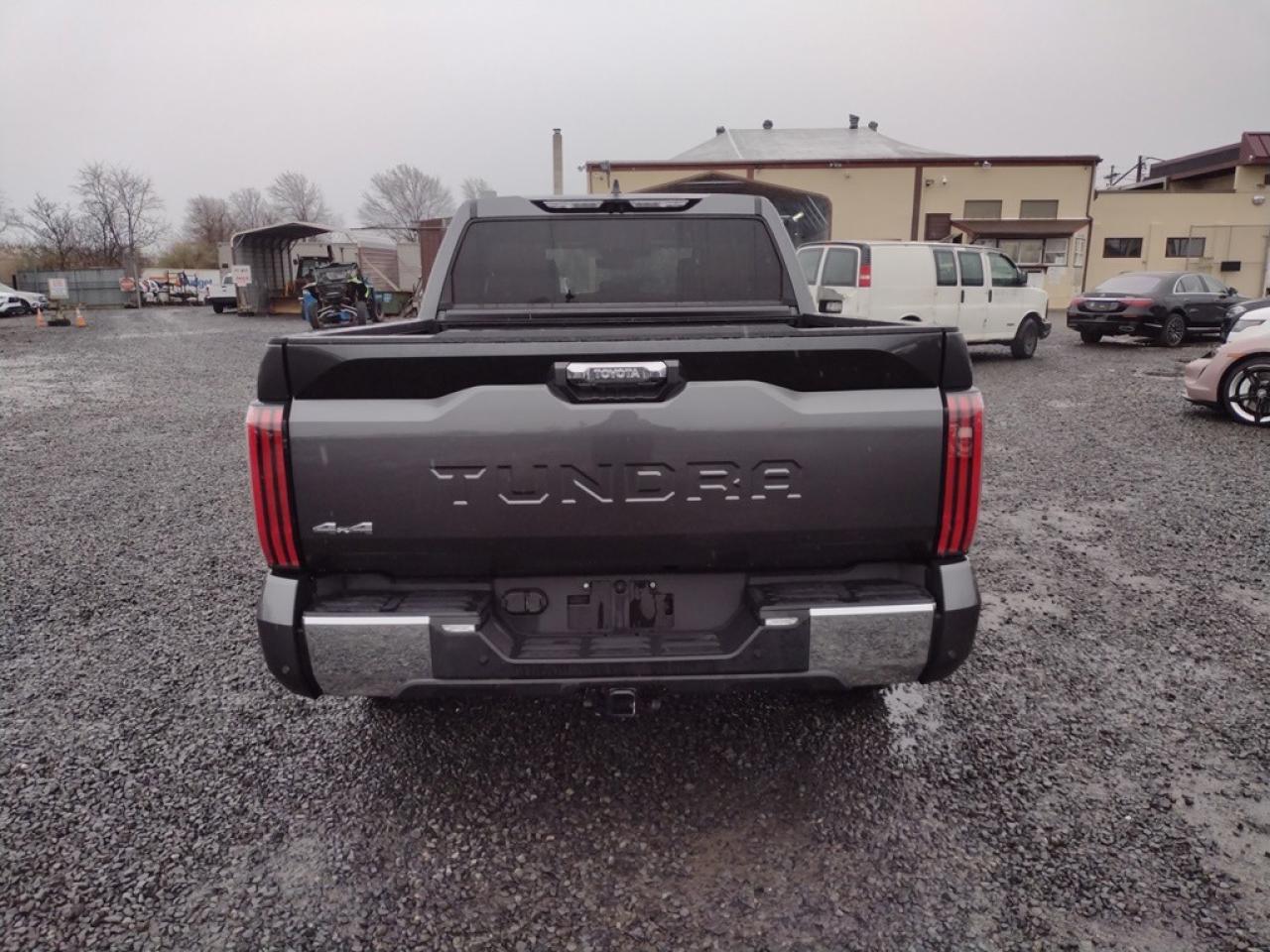 2023 Toyota Tundra Crewmax Platinum VIN: 5TFMA5DB3PX120268 Lot: 66905724