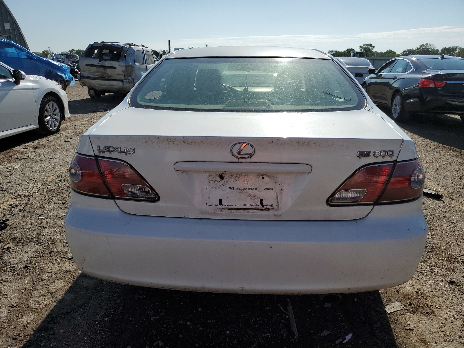 JTHBF30G030116985 2003 Lexus Es 300