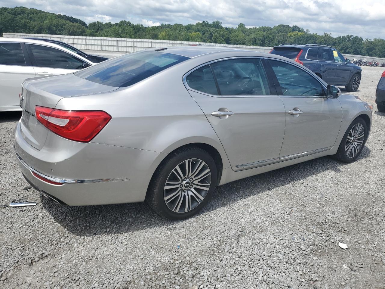 2014 Kia Cadenza Premium VIN: KNALN4D75E5131817 Lot: 66656874