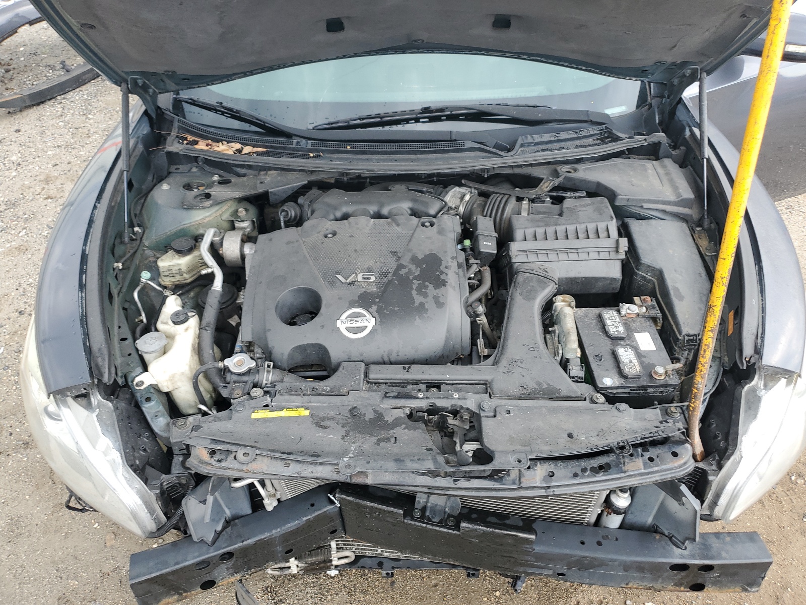 1N4AA5AP7AC807048 2010 Nissan Maxima S