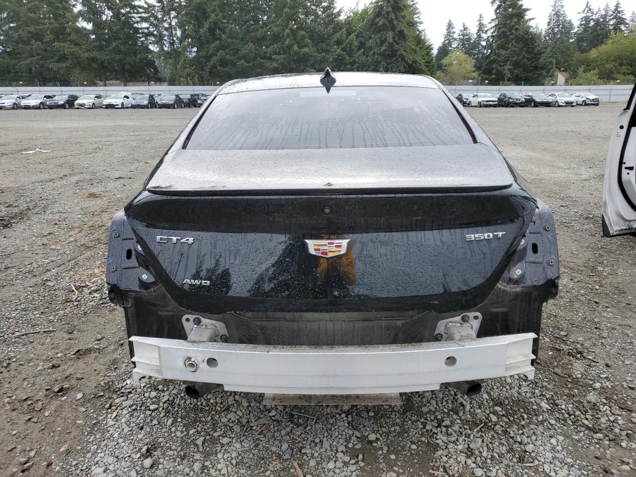 2021 Cadillac Ct4 Sport VIN: 1G6DG5RK2M0107686 Lot: 66782704