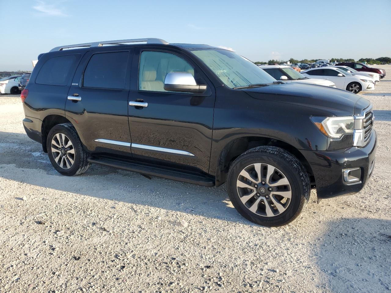 2019 Toyota Sequoia Limited VIN: 5TDJY5G11KS169825 Lot: 67254564