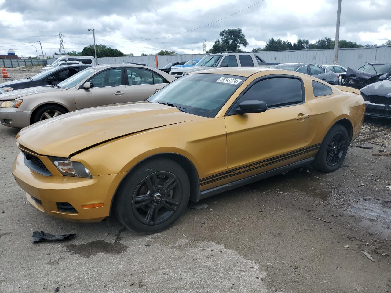 2010 Ford Mustang VIN: 1ZVBP8AN9A5116845 Lot: 68147724