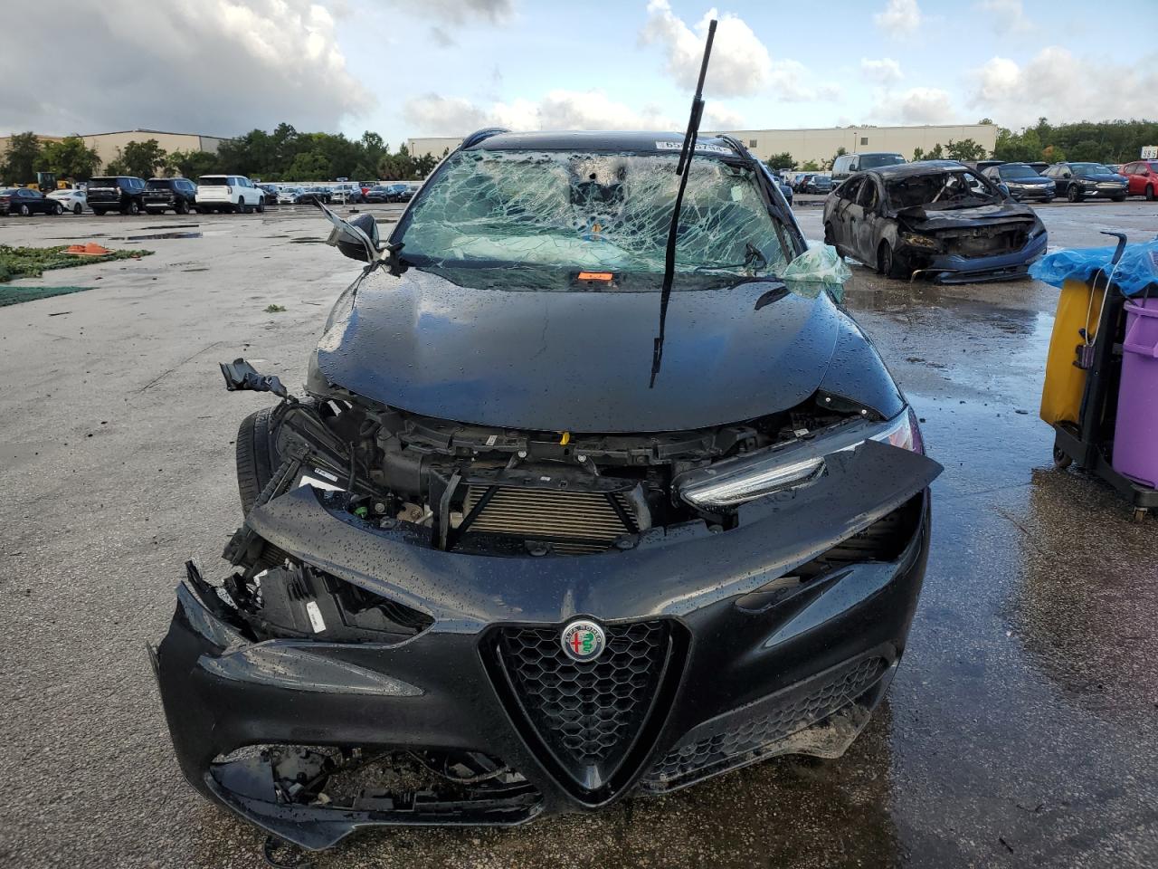 2020 Alfa Romeo Stelvio - Image 5