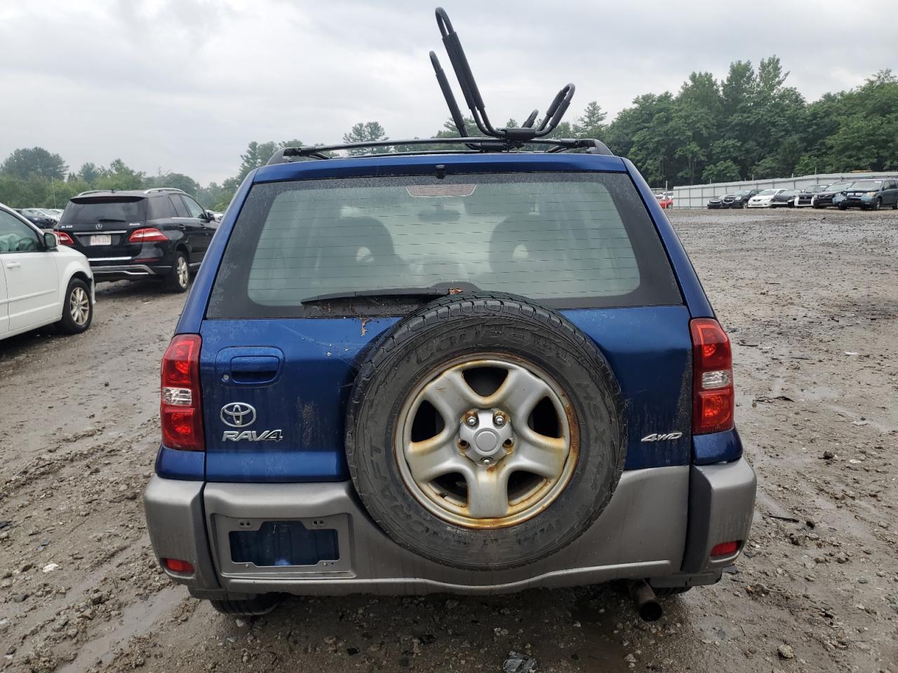 2004 Toyota Rav4 VIN: JTEHD20V746002597 Lot: 66294634