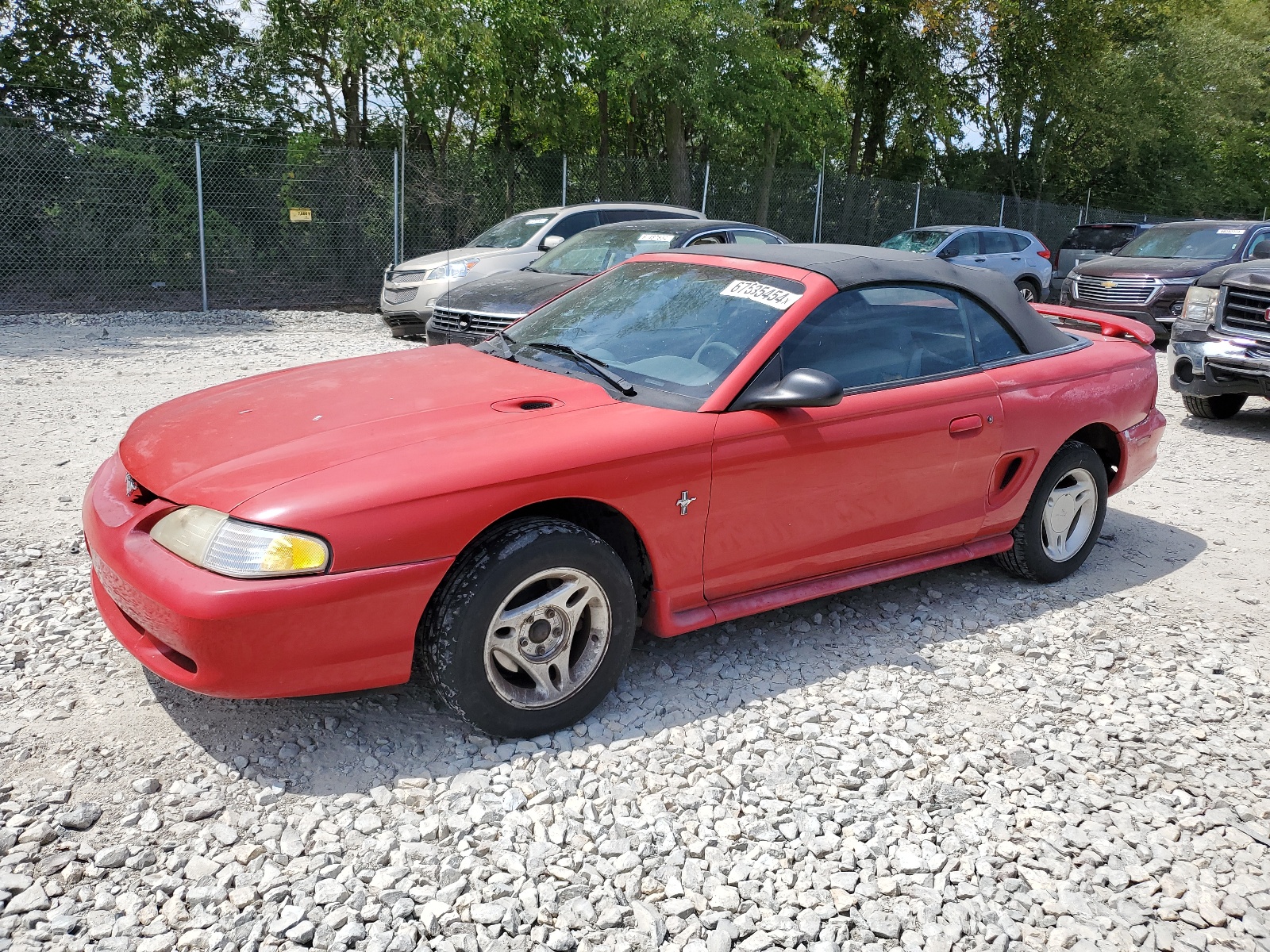 1FALP4442TF164984 1996 Ford Mustang