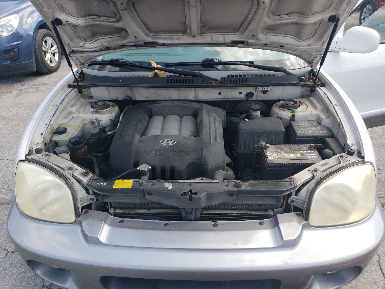 KM8SC13D23U355426 2003 Hyundai Santa Fe Gls