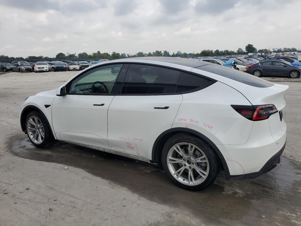 5YJYGDEE7MF073285 2021 TESLA MODEL Y - Image 2