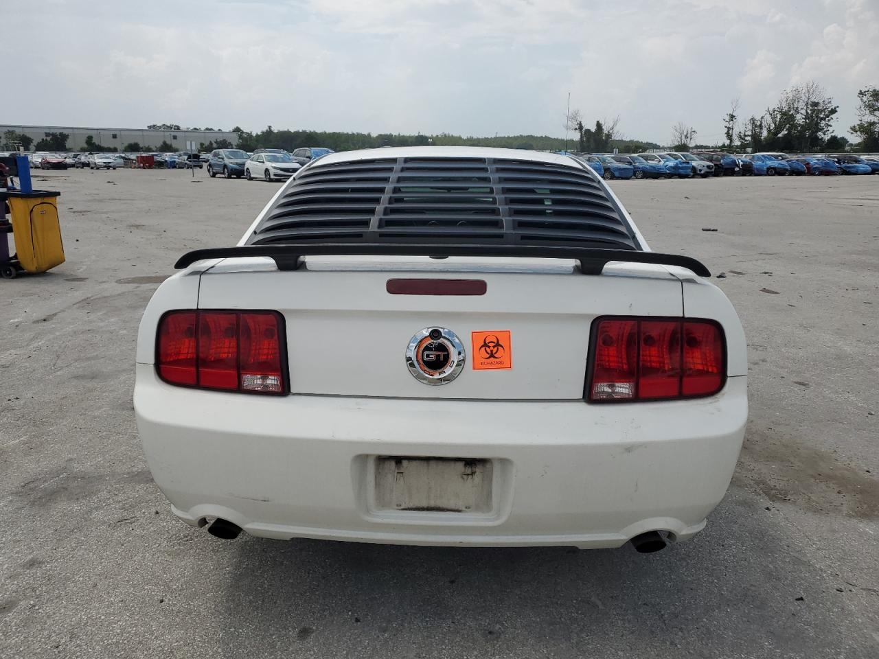 2008 Ford Mustang Gt VIN: 1ZVHT82H185194142 Lot: 66506124