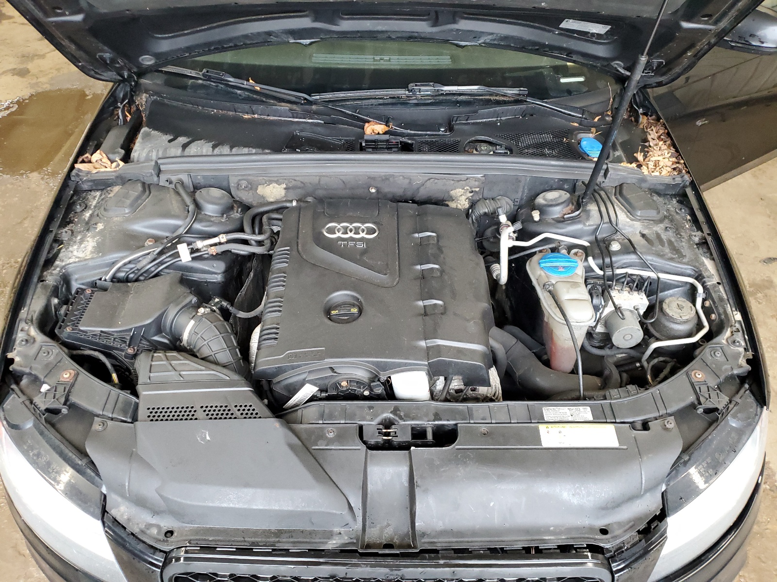 WAUBFAFL5CN002362 2012 Audi A4 Premium