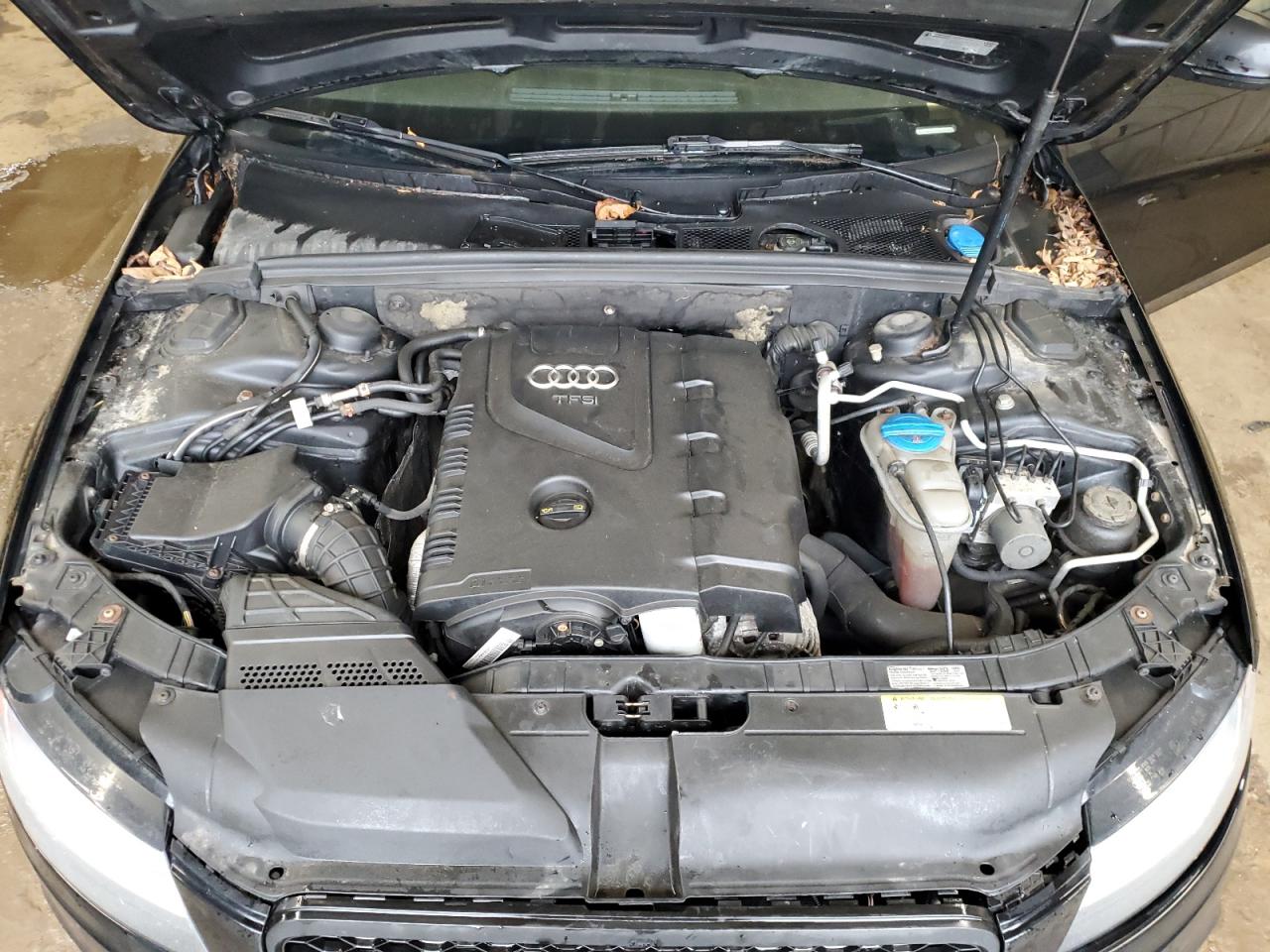 2012 Audi A4 Premium VIN: WAUBFAFL5CN002362 Lot: 65578914
