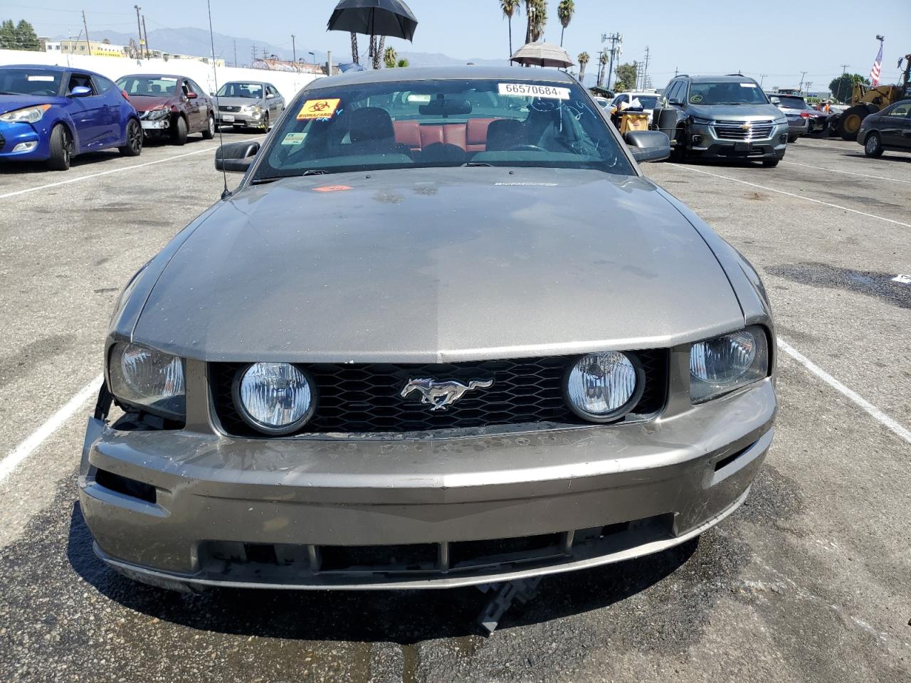 1ZVHT82H155193343 2005 Ford Mustang Gt