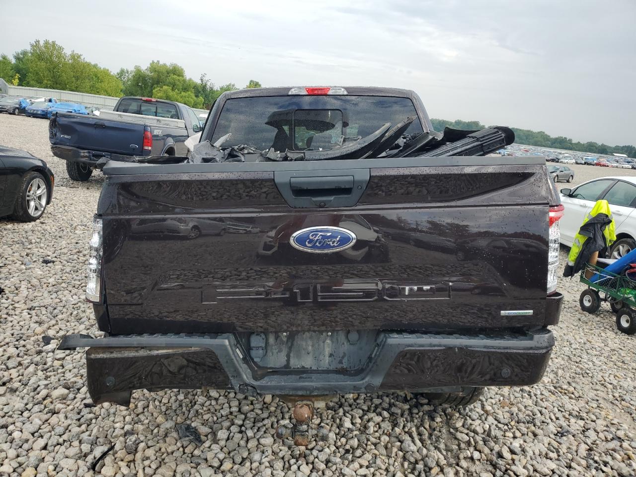 1FTEW1EP6KFB31515 2019 Ford F150 Supercrew