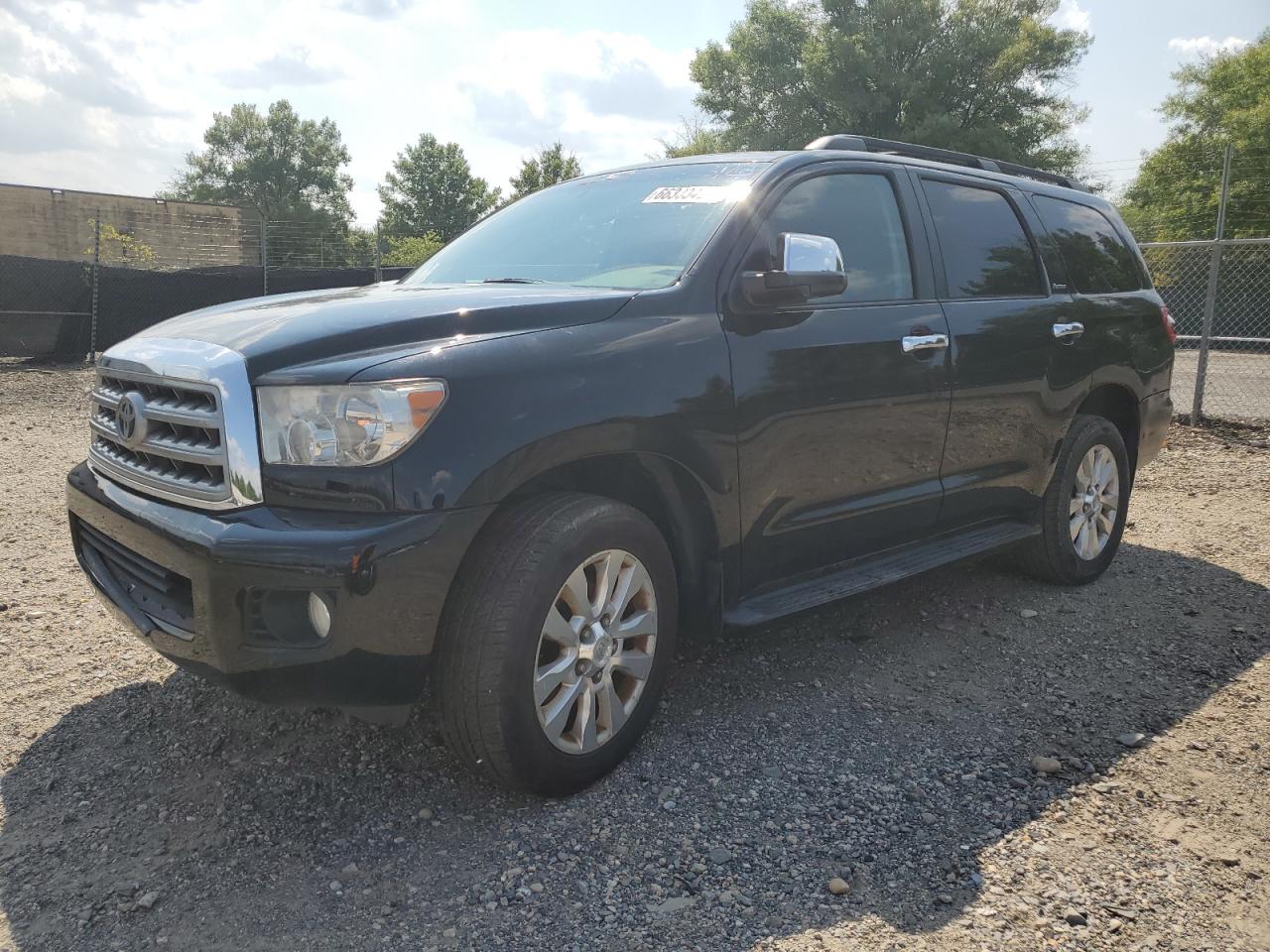 2010 Toyota Sequoia Platinum VIN: 5TDDW5G19AS024212 Lot: 66333424