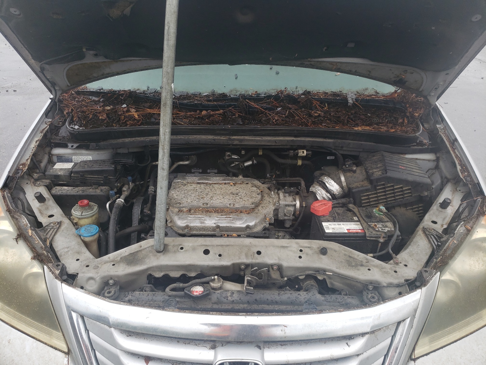 5FNRL3H72AB010419 2010 Honda Odyssey Exl 5FNRL3H72AB010419 2010 Honda Odyssey Exl