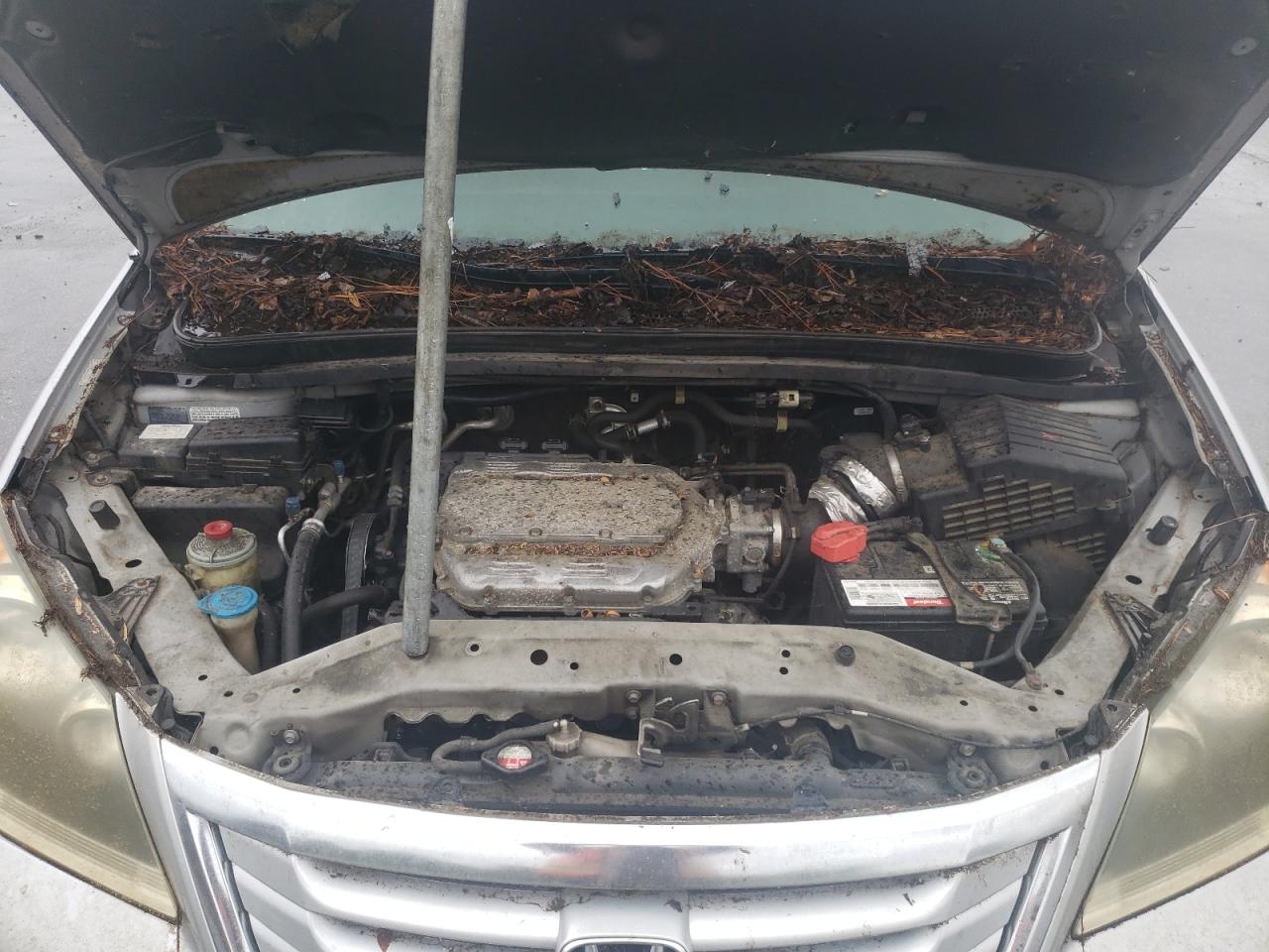 5FNRL3H72AB010419 2010 Honda Odyssey Exl