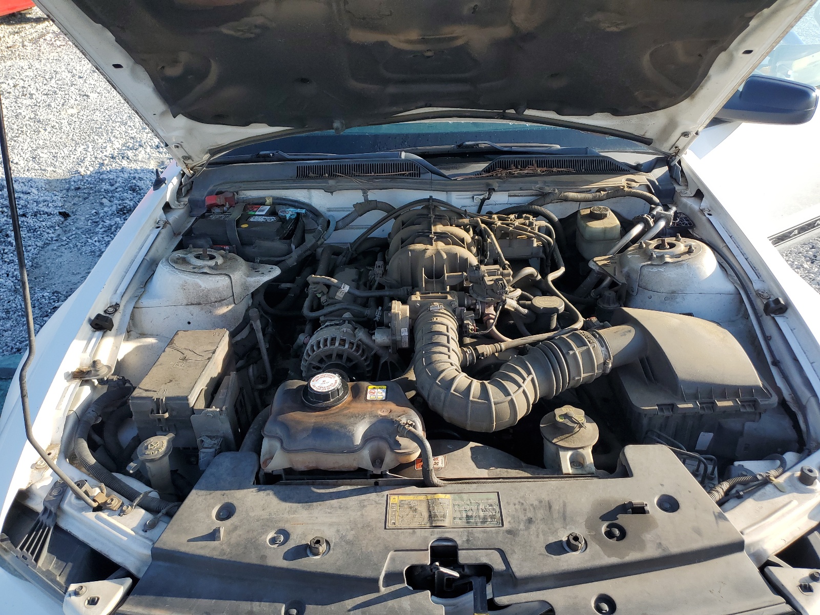 1ZVHT80N865160544 2006 Ford Mustang