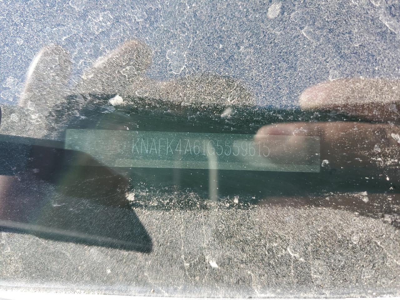 2016 Kia Forte Lx VIN: KNAFK4A61G5559615 Lot: 67804594