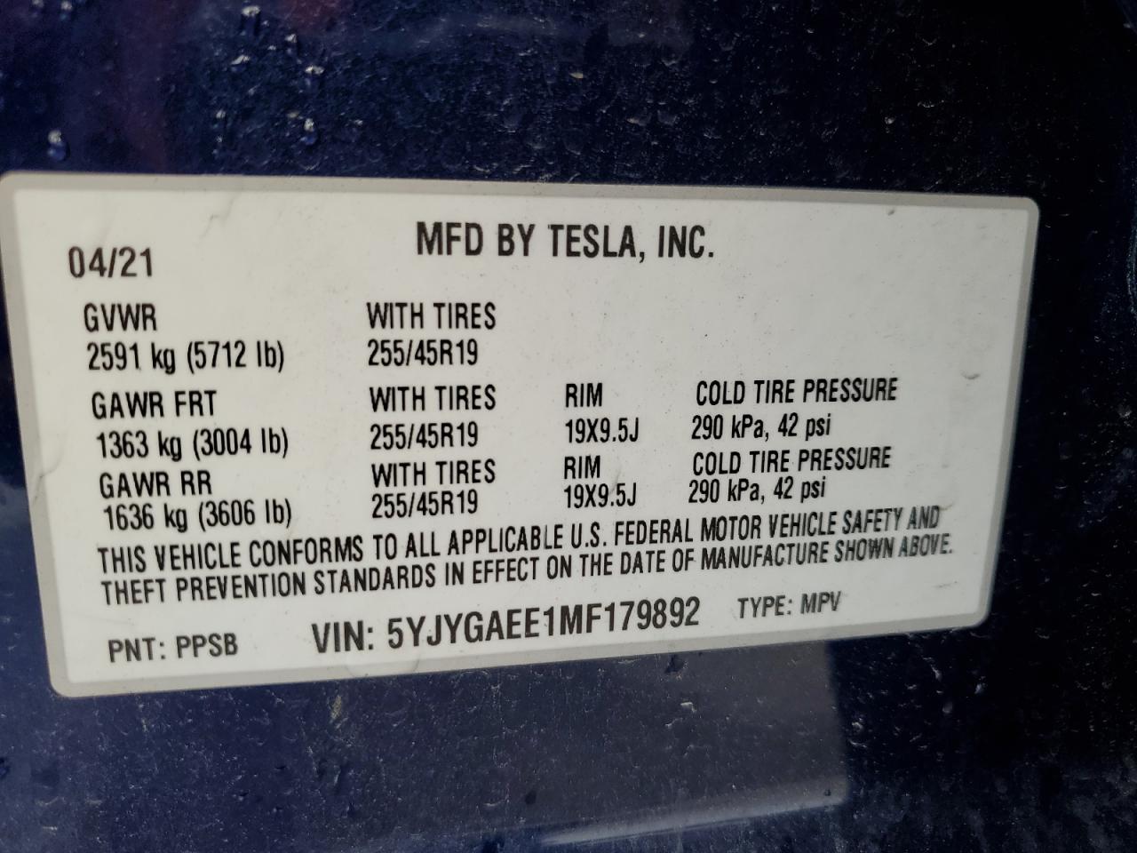 2021 Tesla Model Y VIN: 5YJYGAEE1MF179892 Lot: 67962594