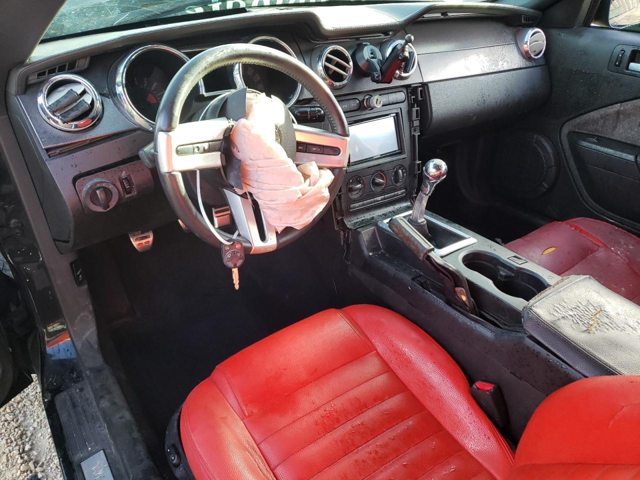 2009 Ford Mustang Gt VIN: 1ZVHT82H495130064 Lot: 65915184