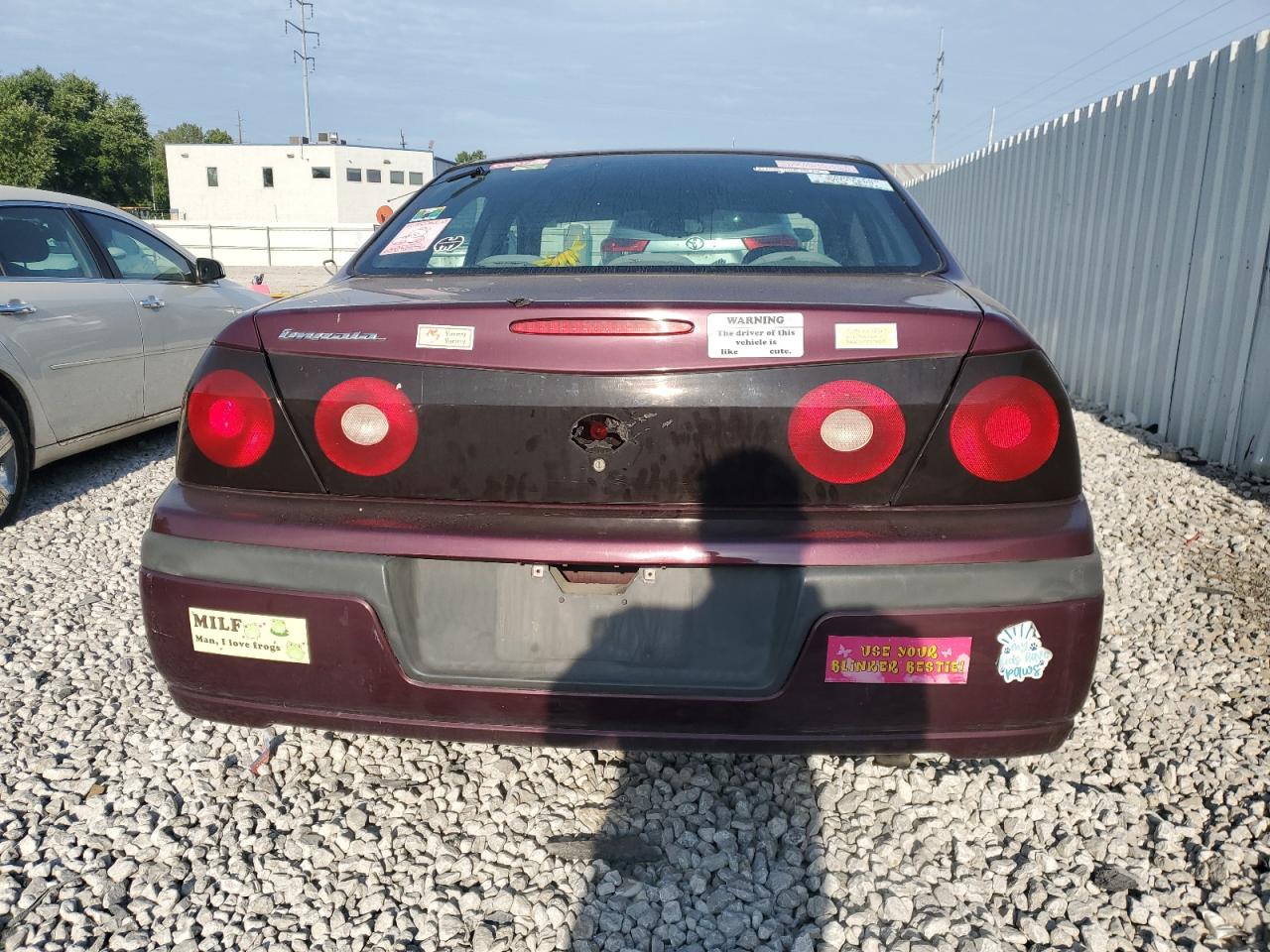 2004 Chevrolet Impala VIN: 2G1WF52E249397228 Lot: 66990134