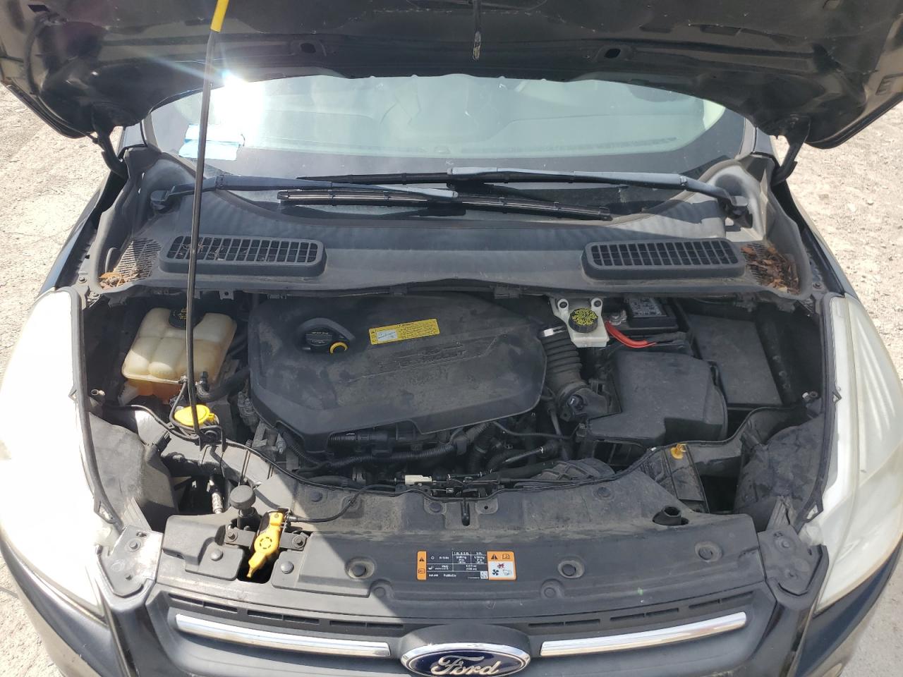 2014 Ford Escape Se VIN: 1FMCU0GX1EUD07418 Lot: 65671564