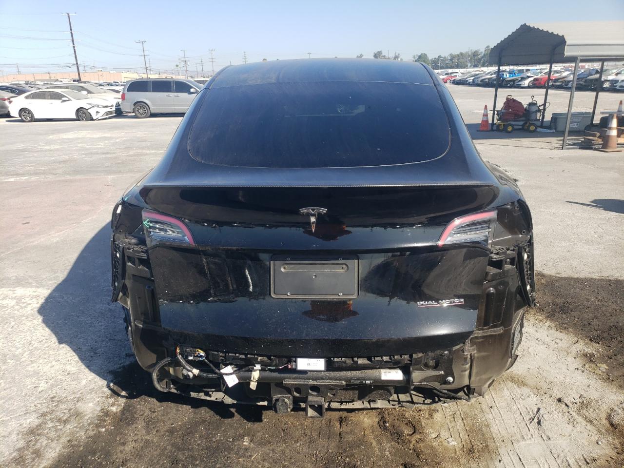 2022 Tesla Model Y VIN: 7SAYGDEF2NF558656 Lot: 66864034