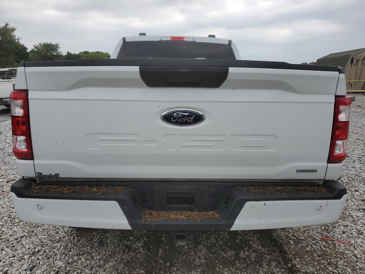 2023 Ford F150 Super Cab VIN: 1FTEX1CP5PKG11818 Lot: 66738124