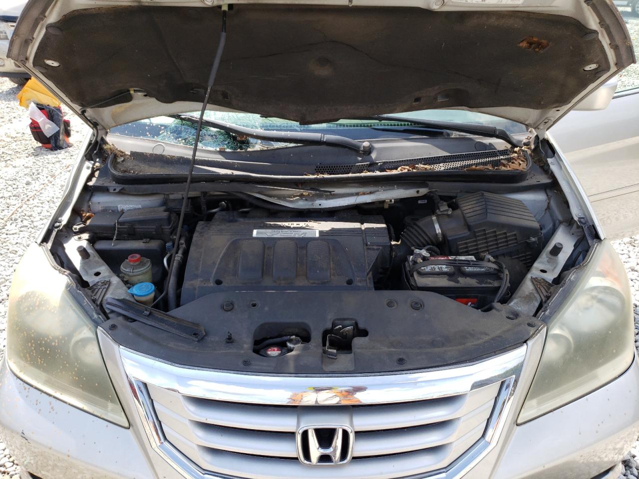 2009 Honda Odyssey Exl VIN: 5FNRL38729B045750 Lot: 64945114