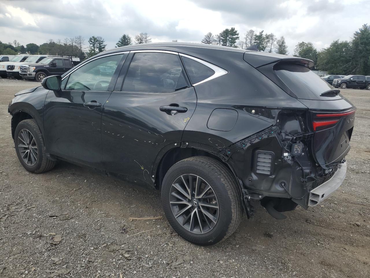 2T2GGCEZ8PC016364 2023 LEXUS NX - Image 2