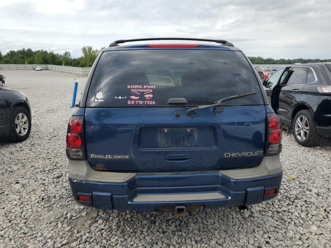 2003 Chevrolet Trailblazer VIN: 1GNDT13S532152660 Lot: 68871254