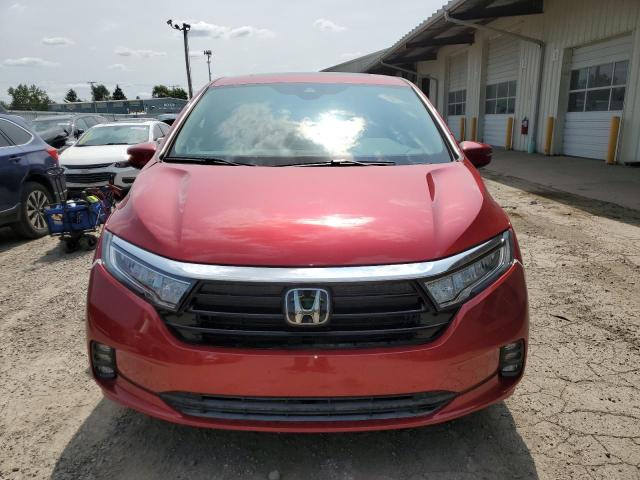  HONDA All Models 2024 Czerwony