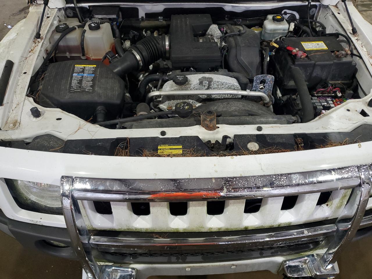 2009 Hummer H3 VIN: 5GTEN13E398158943 Lot: 65841884