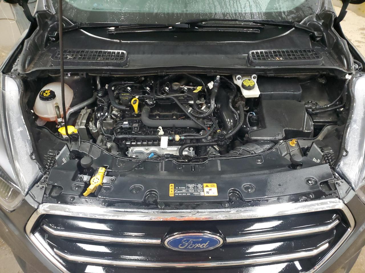 1FMCU9GD4KUC04550 2019 Ford Escape Se