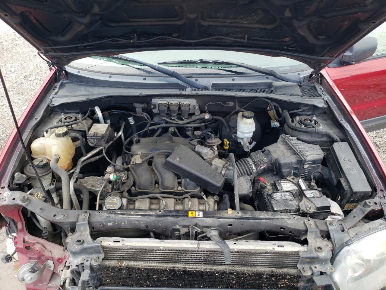 2005 Ford Escape Xlt VIN: 1FMYU03145KC78922 Lot: 65569054