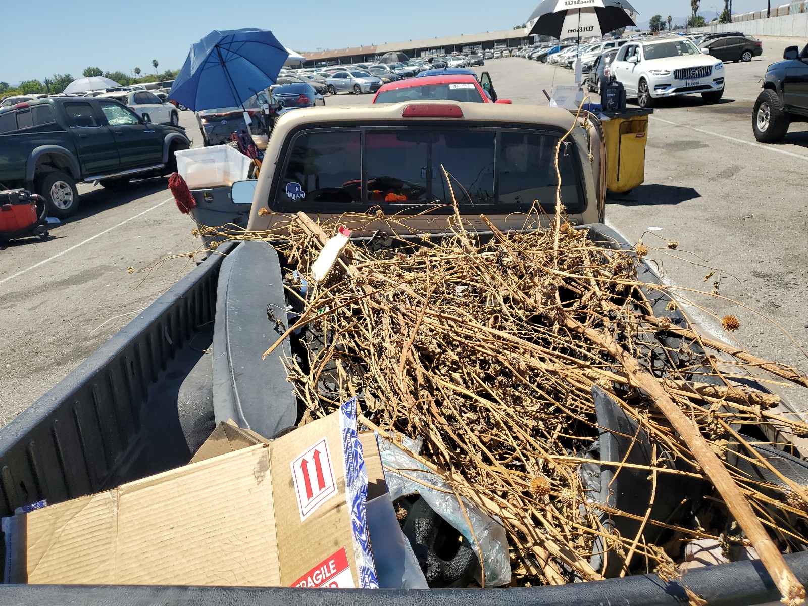 4TANL42N2XZ410166 1999 Toyota Tacoma