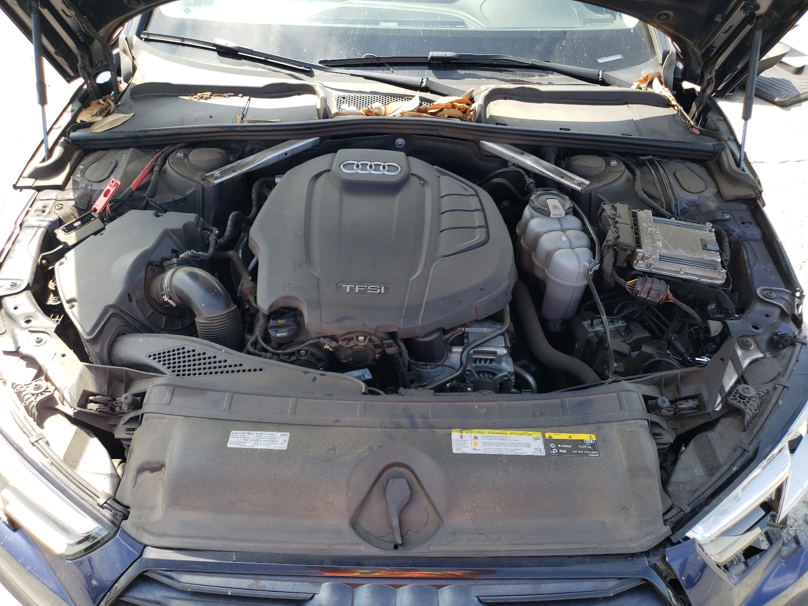 Фото: WAUGMAF42KA073206 - 12