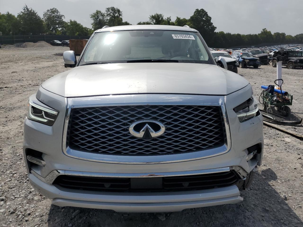 2019 Infiniti Qx80 Luxe VIN: JN8AZ2NF0K9683100 Lot: 65703434