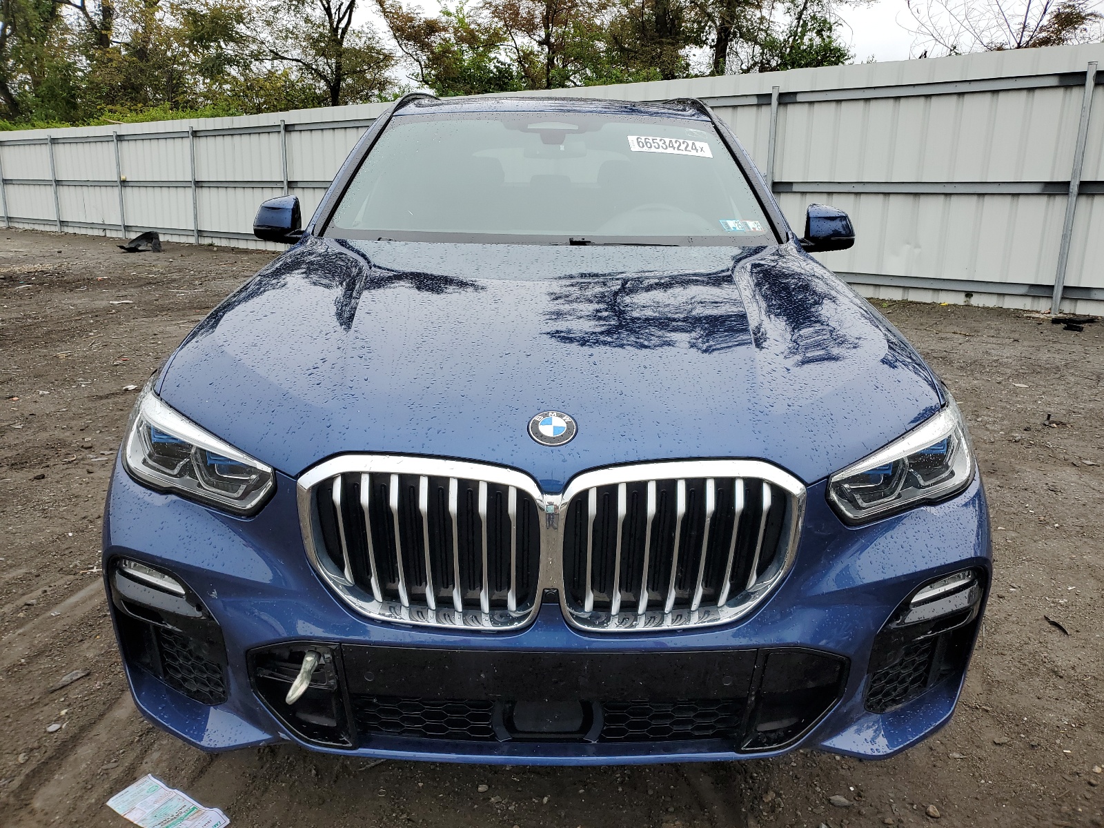5UXCR6C57KLL04892 BMW X5 2019. Фото: 4