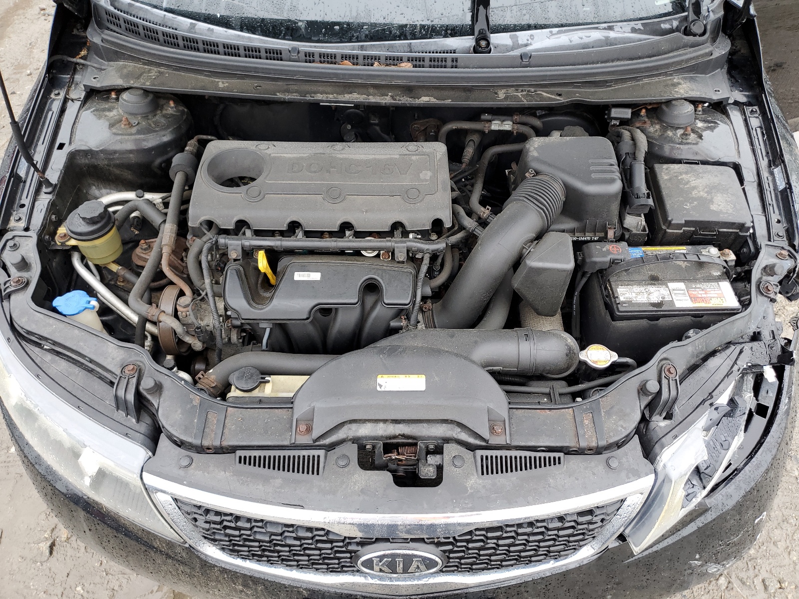 KNAFU4A26B5331268 2011 Kia Forte Ex