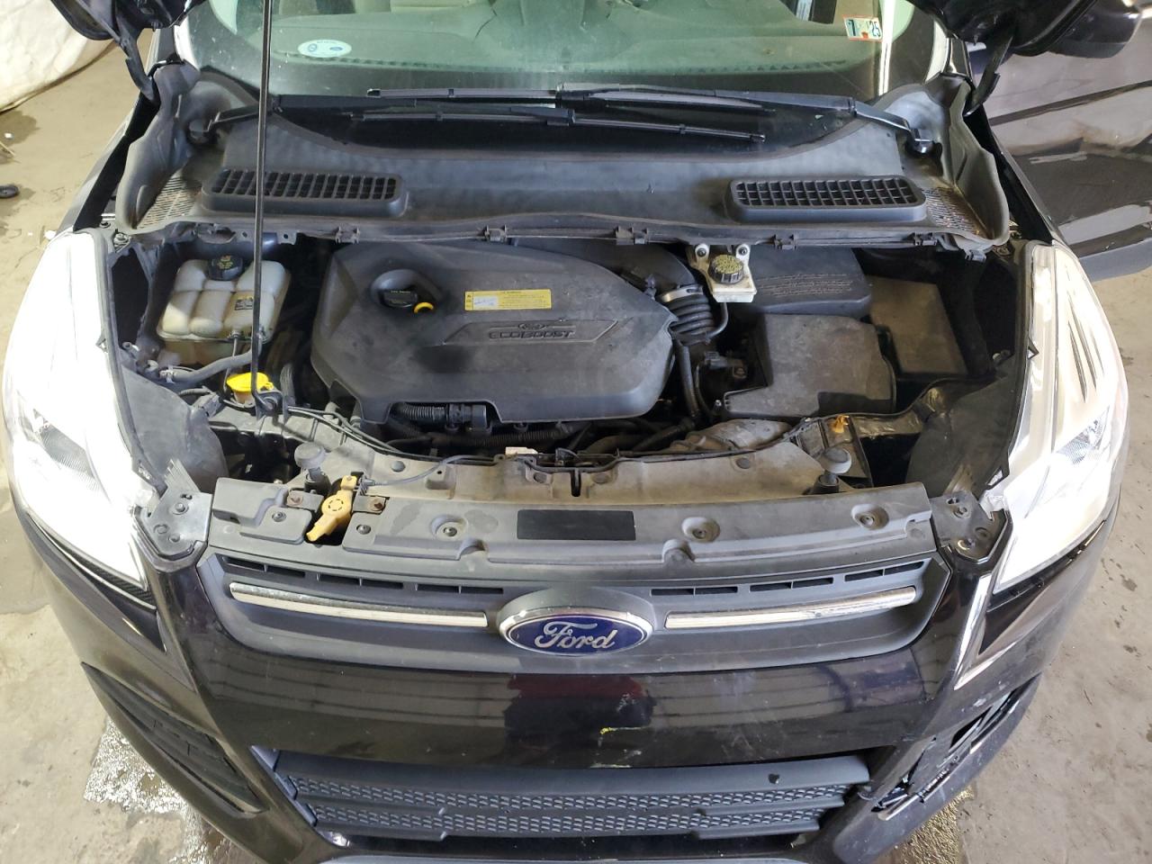 2013 Ford Escape Se VIN: 1FMCU9GX8DUB92951 Lot: 65604964