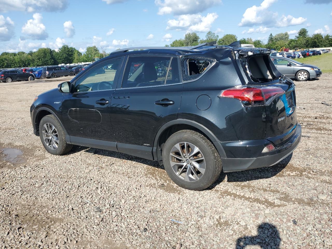 JTMRJREV5HD074824 2017 TOYOTA RAV 4 - Image 2