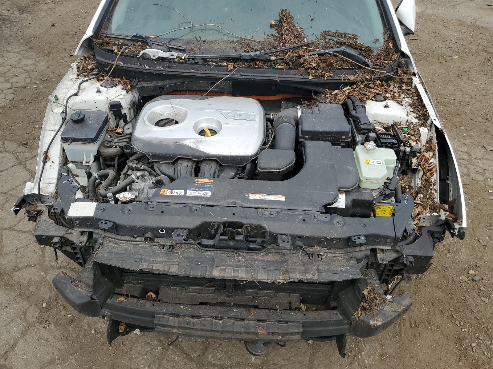 KMHE24L16HA056344 2017 Hyundai Sonata Hybrid