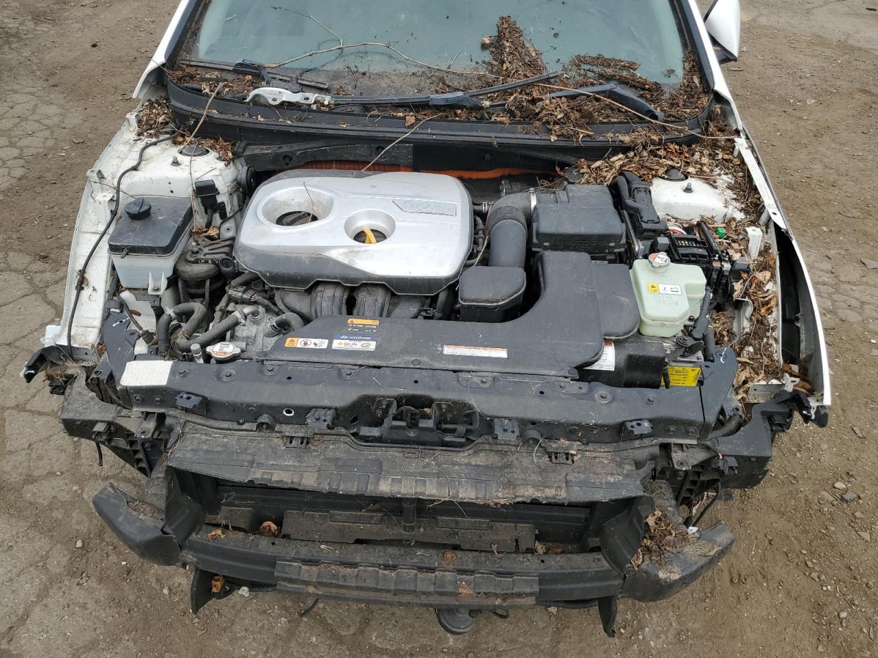 2017 Hyundai Sonata Hybrid VIN: KMHE24L16HA056344 Lot: 65728664