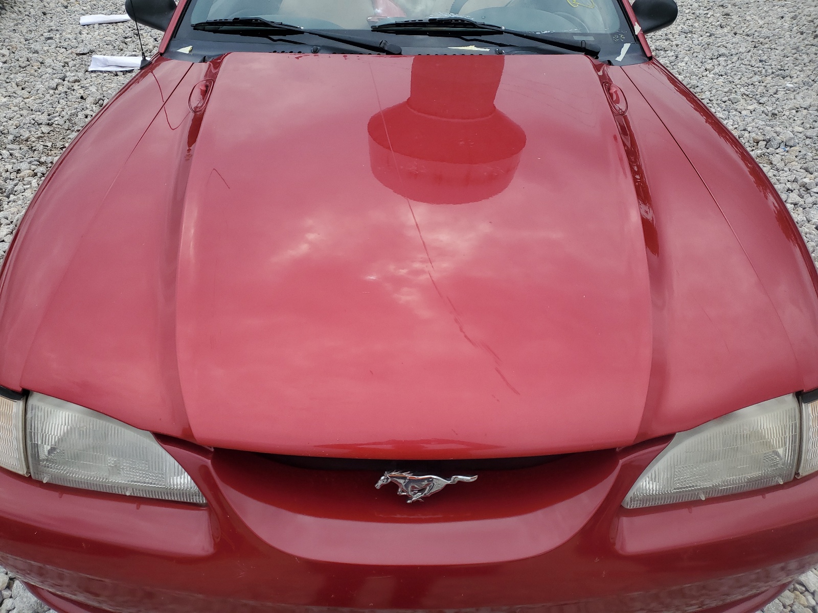 1FALP45T3SF248364 1995 Ford Mustang Gt